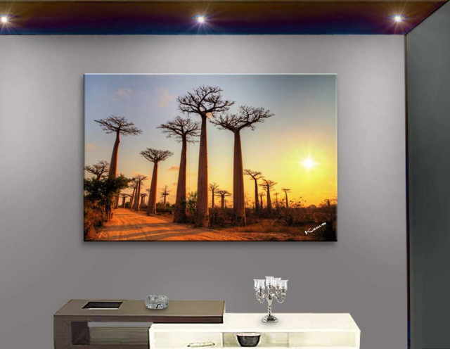 L'allée des baobabs