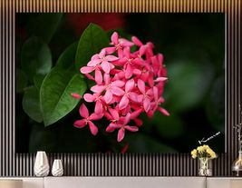 Ixora