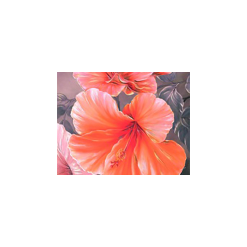 Hibiscus