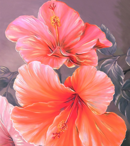 Hibiscus